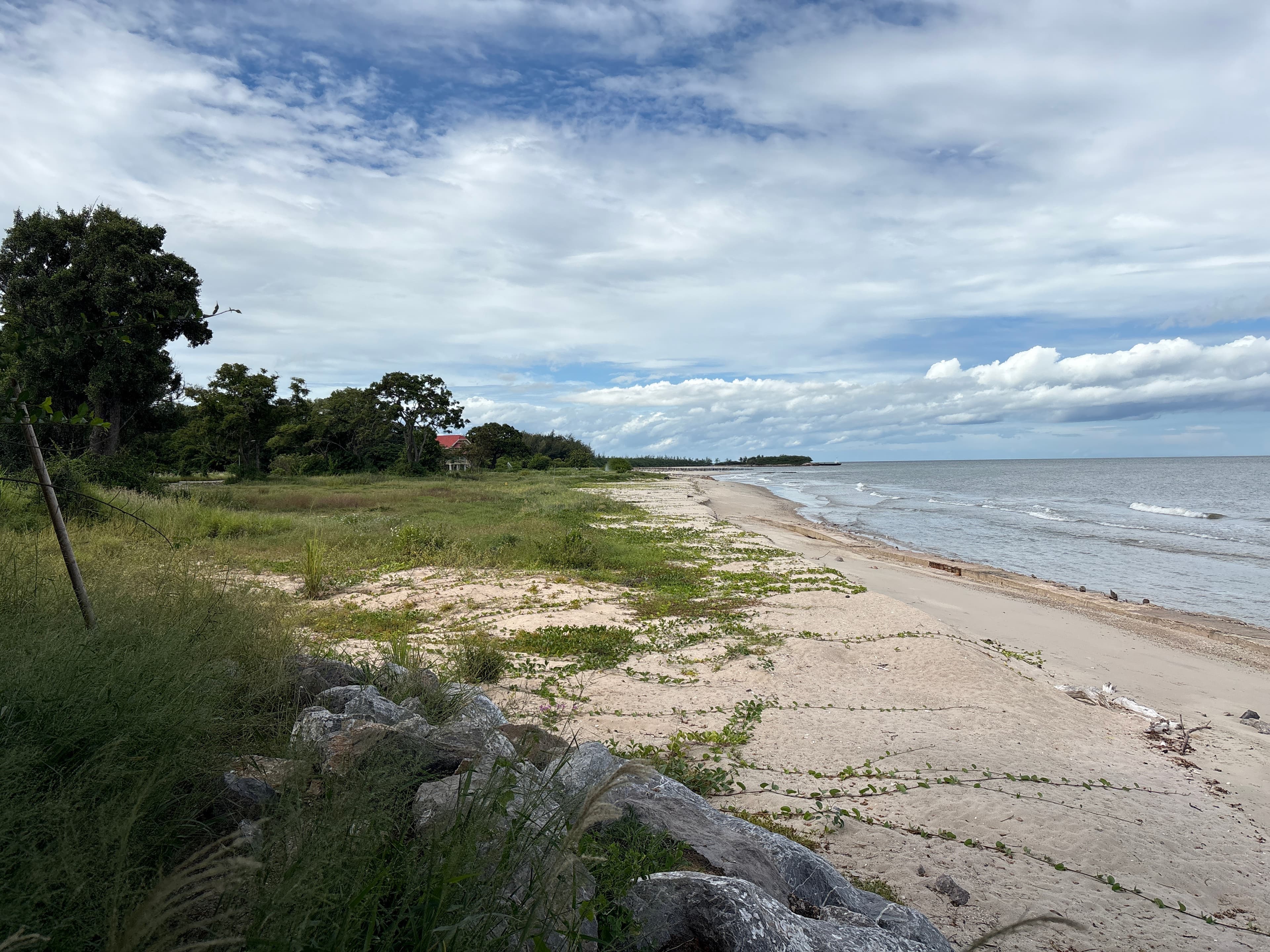 beach